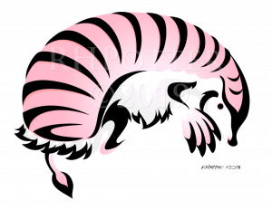 pink fairy armadillo